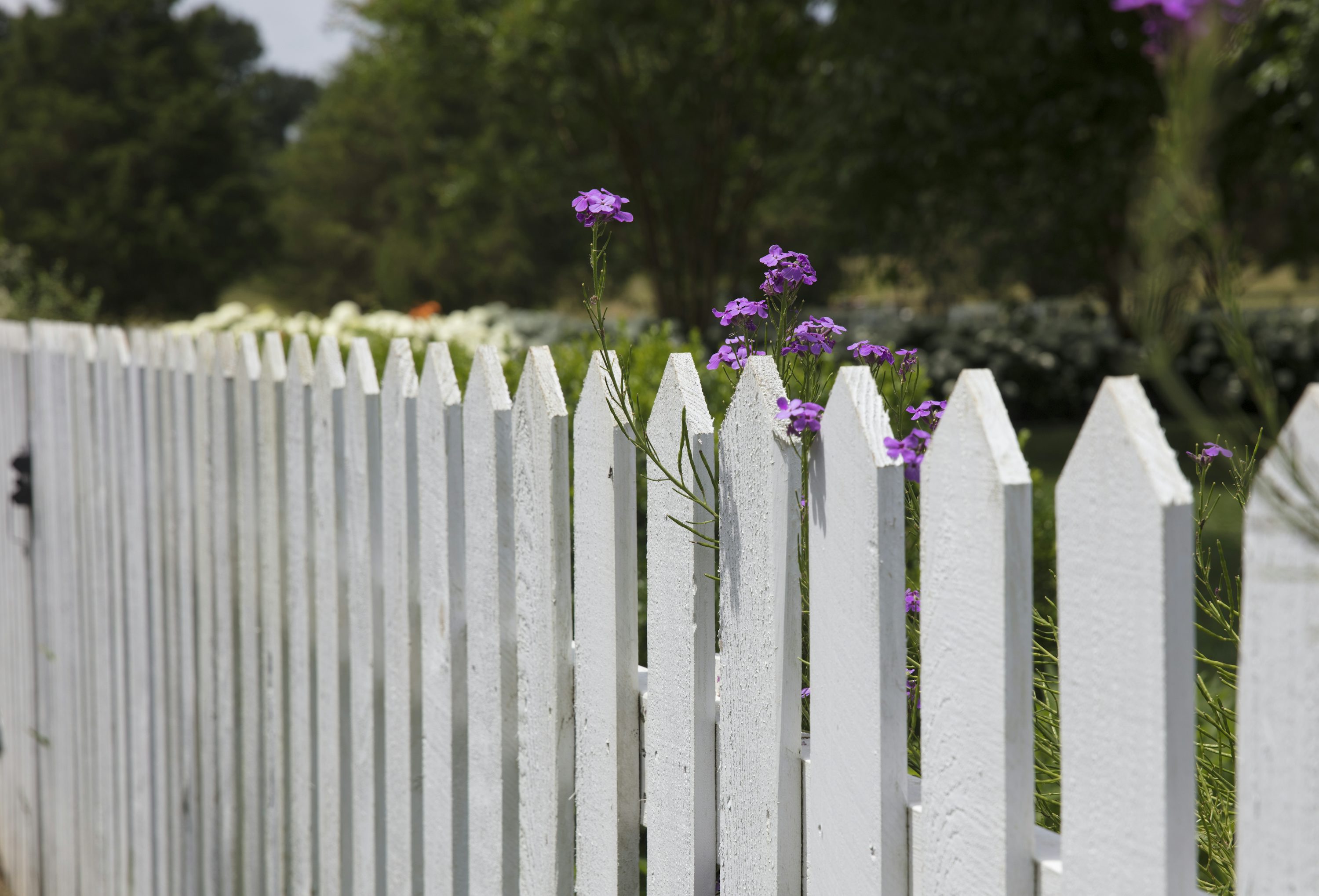 Fencing project example 3